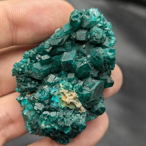 Raro esemplare di cristallo di dioptasio di colore verde smeraldo proveniente dal Congo