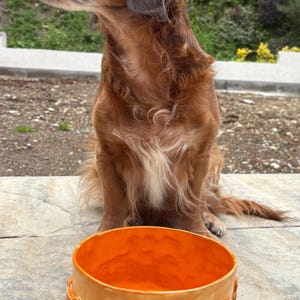 Handmade Ceramic Dog Bowl – Orange Pet Food Bowl with Bone Design – Personalized Stoneware Pet Dish – Unique Gift for Dog Lovers