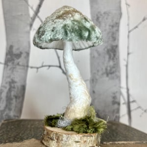 RTS Spun Cotton Pilz Fliegenpilz hellgrün Weihnachtsschmuck auf Holzscheibe von Brusja Natalja Fjodorova