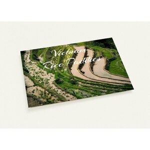 Vietnam Post Cards Rice Paddies Pack of 10 (Size: A6 - 10.5 x 14.8 cm)