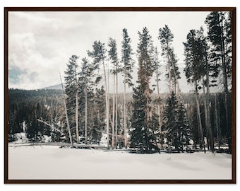 Solitude in the Snowscape - Snowy Forest Woodland Photography Museum-Quality Matte Paper Wooden Framed Poster 18x24″ inches
