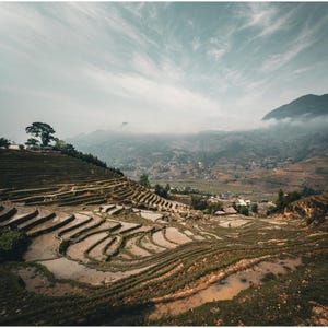 Poster classico su carta semi-lucida "Terrazze di smeraldo di Sapa, Vietnam"