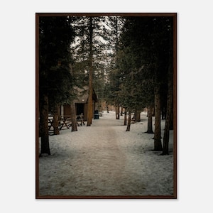 Snow-Covered Path at Echo Lake, Colorado Museum-Quality Matte Paper Wooden Framed Poster 18x24″ inches