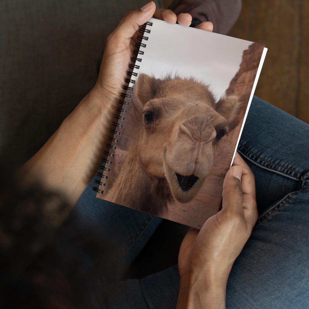 Camel Notebook - Etsy