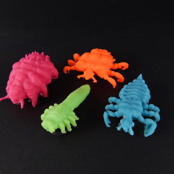 Ectoparasites: set of four magnetic arthropod models with gift box