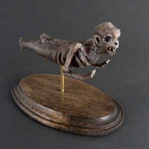 Feejee Mermaid: Painted Resin Scale Model with Display Stand
