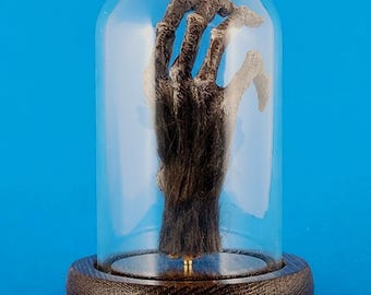 Monkey's Paw with Display Cloche