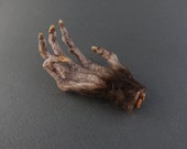 The Monkey&#39;s Paw