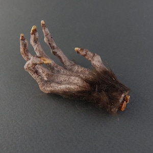 Puede incluir: Primer plano de una mano peluda y con garras con uñas largas y afiladas. La mano está posada como si estuviera tendiendo la mano, con los dedos extendidos. La mano es de color marrón oscuro y parece estar hecha de un material suave y flexible.