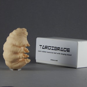 Tardigrade caoutchouteux image 2