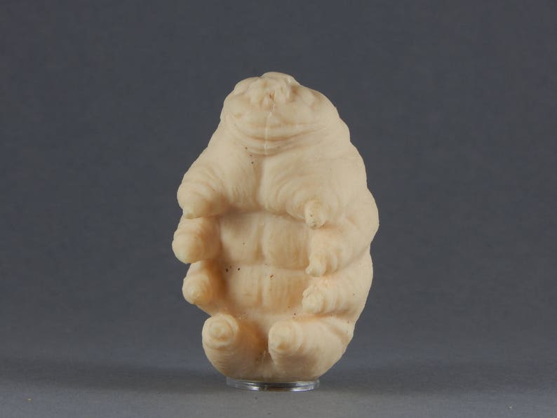 Tardigrade caoutchouteux image 4