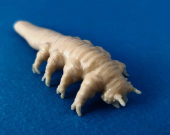 Rubbery Demodex