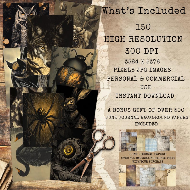May include: A collection of vintage-style digital images featuring various animals and botanical illustrations. The images include an owl, wolf, bat, beetle, spider, rabbit, swan, and snail. The text on the image says "What's Included" and lists the image details.