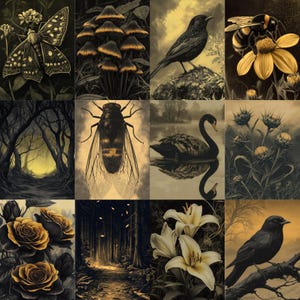 May include: A collection of sepia-toned illustrations featuring nature scenes. The images include a butterfly, mushrooms, a bird, a bee on a flower, a forest path, a cicada, a swan, thistles, roses, a forest path, lilies, and a bird on a branch.