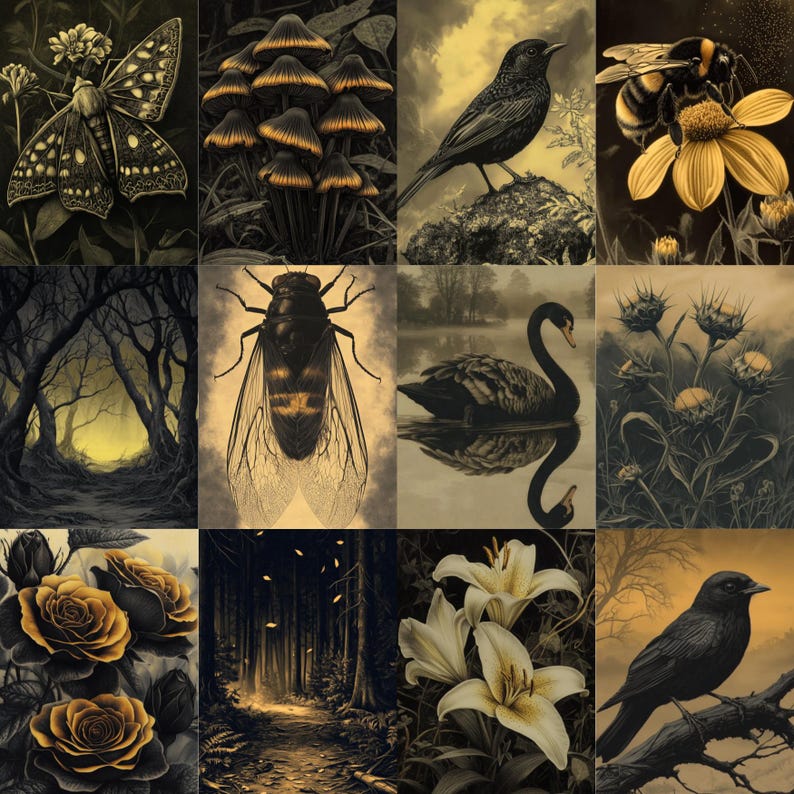 May include: A collection of sepia-toned illustrations featuring nature scenes. The images include a butterfly, mushrooms, a bird, a bee on a flower, a forest path, a cicada, a swan, thistles, roses, a forest path, lilies, and a bird on a branch.