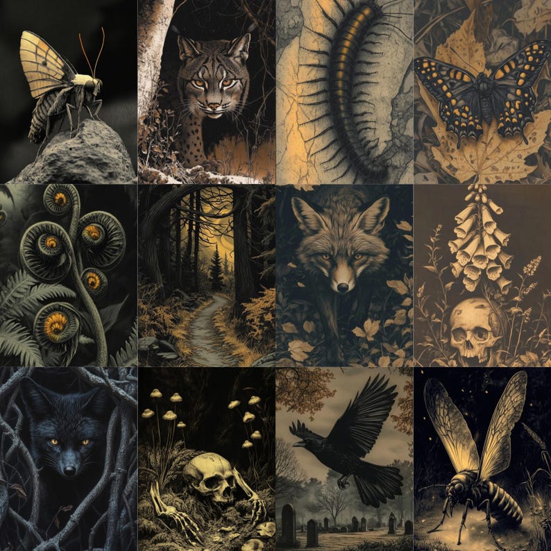 May include: A collection of nine illustrations featuring various forest and woodland creatures and scenes. The images include a butterfly, a bobcat, a centipede, a fox, a raven, a skull, a forest path, and a fern.
