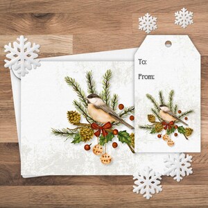 Jeu de cartes de voeux et d'étiquettes-cadeaux Oiseau d'hiver, Jeu de carte de Noël et d'étiquettes-cadeau Mésange, Carte de voeux et étiquette-cadeau oiseau aquarelle