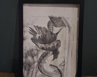 Original Charcoal Drawing | Snake & Bird | Nature Study | Dark Moody Wall Art | Framed | A4