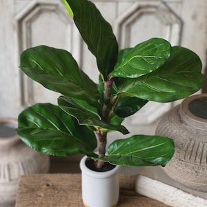 May include: A faux fiddle leaf fig plant in a white ceramic pot with a natural wood base. The plant has large, vibrant green leaves with prominent veining. The pot sits on a rustic wooden surface, with neutral-toned decorative items in the background.