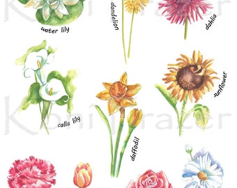 Watercolor Flower Clip Art: 10 Flower Series (Digital Download)