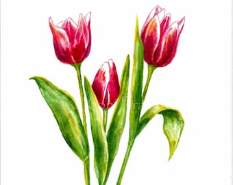 Tulips watercolor painting, watercolor flowers, original watercolor painting of tulips, spring flowers, watercolor art, not a print