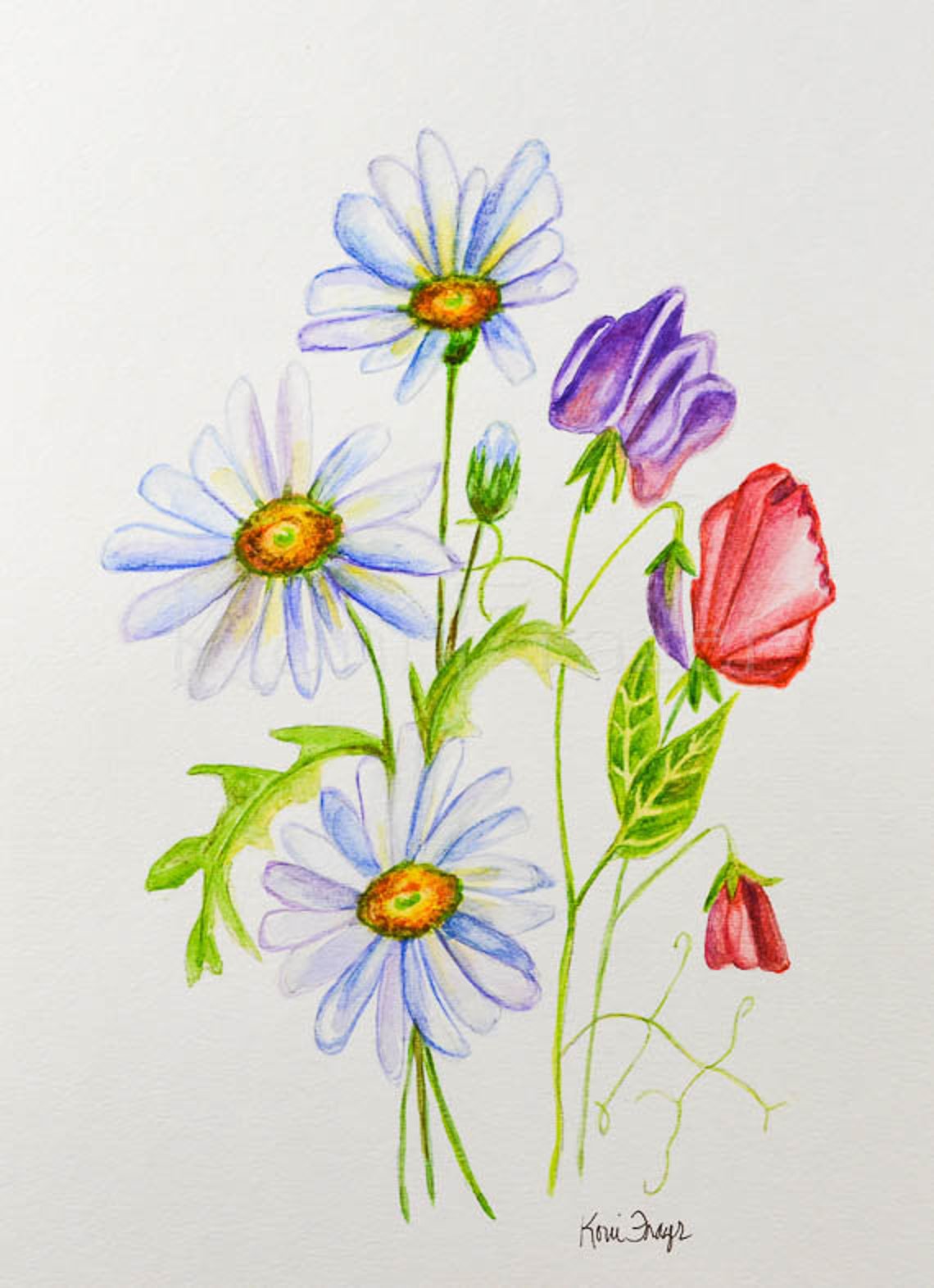 April Birthday Flower, Daisy and Sweet Pea Flowers, Original Watercolor