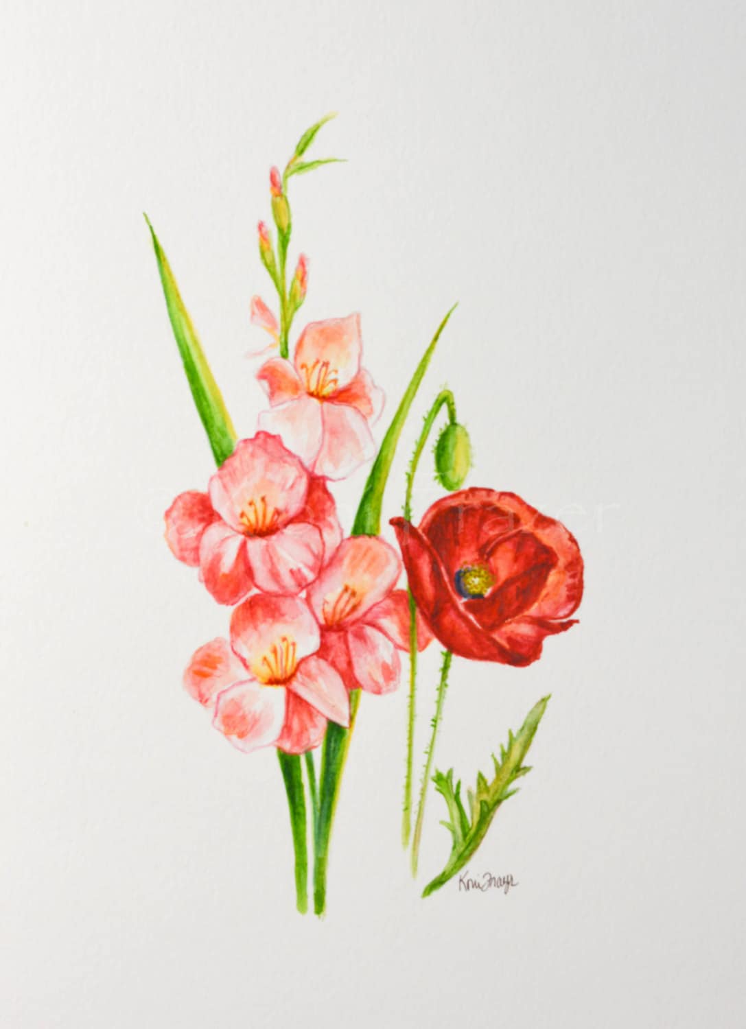 Gladiolus and Poppy August birthday flower original Etsy