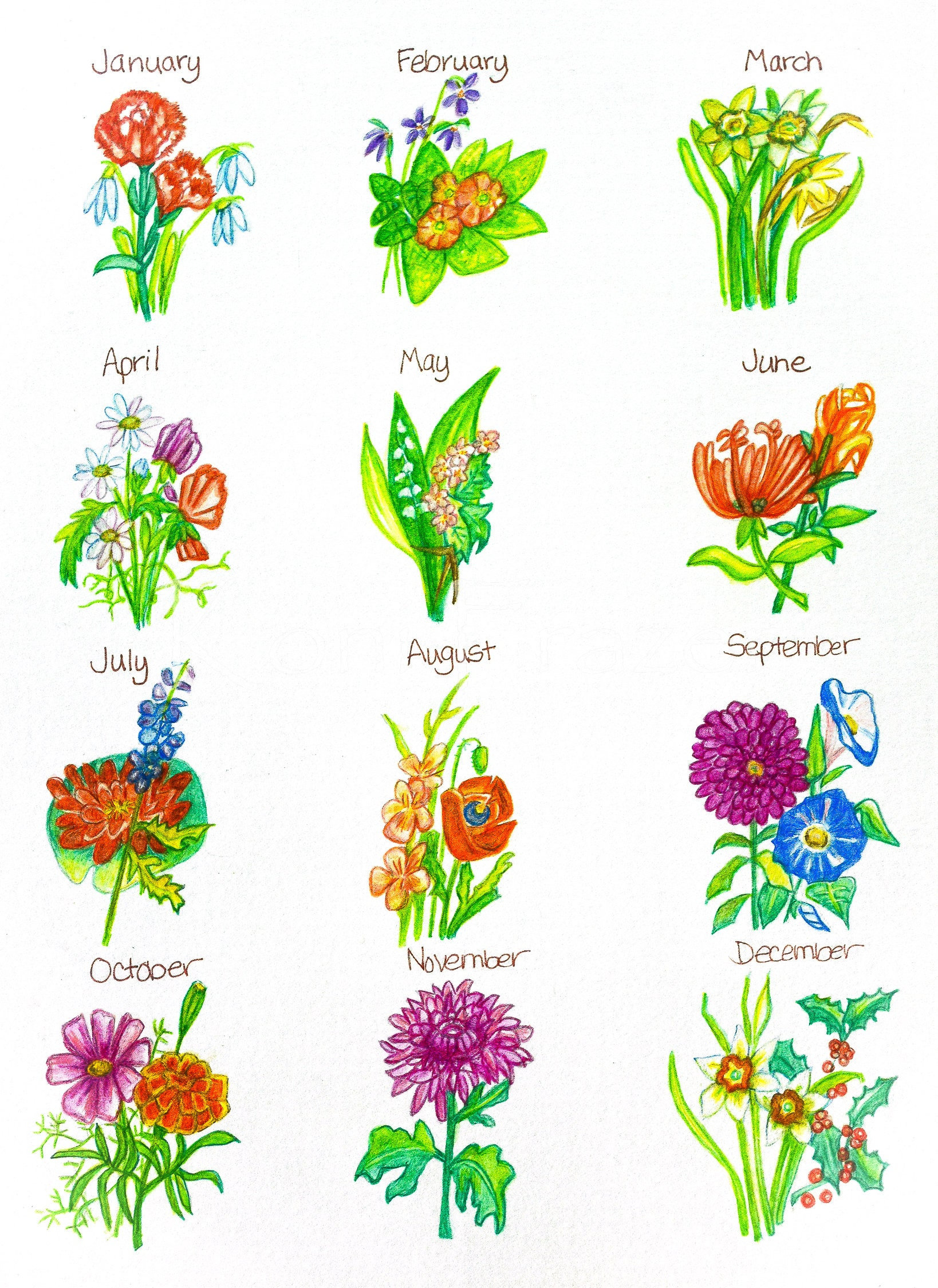 Birthday Flowers by Month, Birthday Month Flower Chart, Birth Month Flowers,  Original Watercolor Painting, Not a Print - Etsy