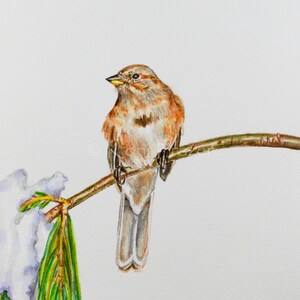 Original Watercolor Painting: American Tree Sparrow Winter Bird Art