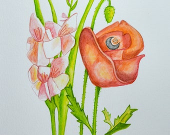 Gladiolus and Poppy, August birthday flower, original watercolor painting, birth month flower, August birthday gift, not a print