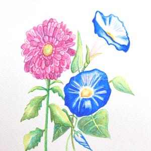 Aster and Morning Glory, September birthday flower, original watercolor painting, birth month flower, September birthday gift