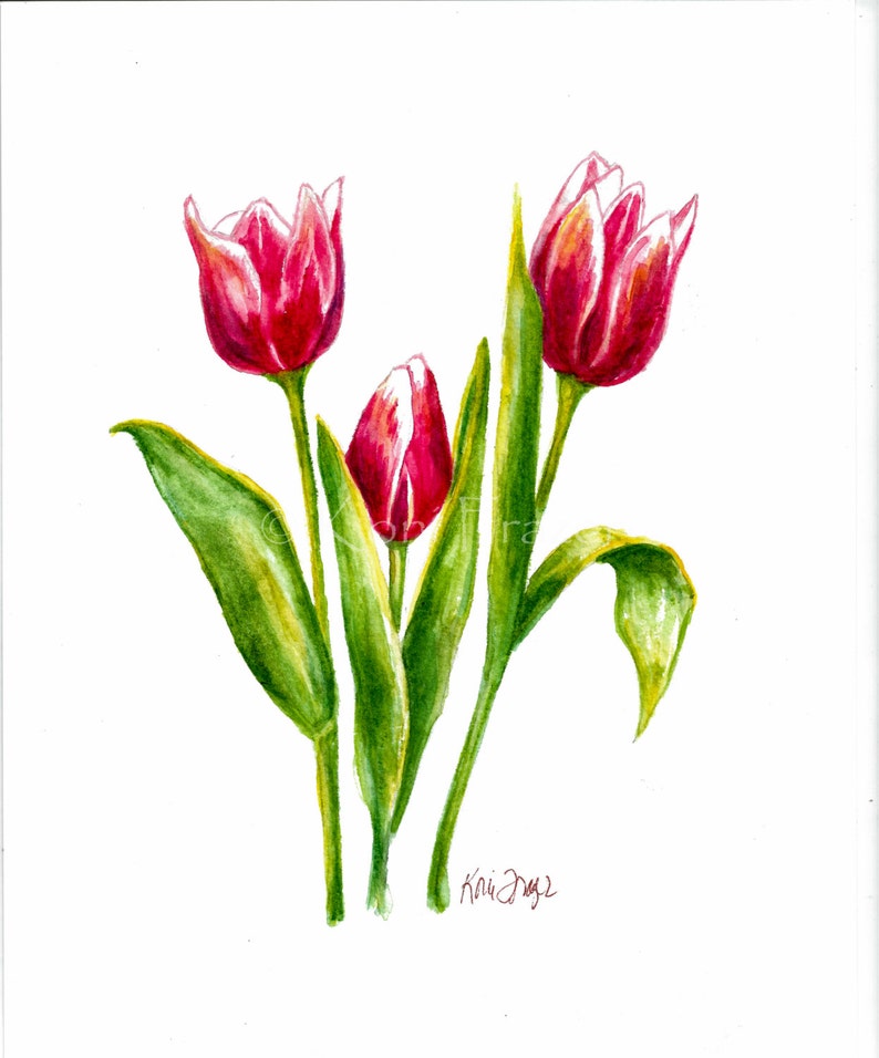 Tulips Watercolor Painting Spring Flowers Etsy