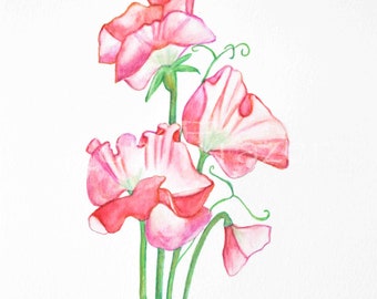 Sweet Peas flower, watercolor, original watercolor art, pink flower art, sweet peas, original watercolor painting, not a print