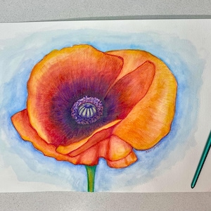 Poppy, watercolor painting of poppy flower , original watercolor painting, not a print, ready to frame