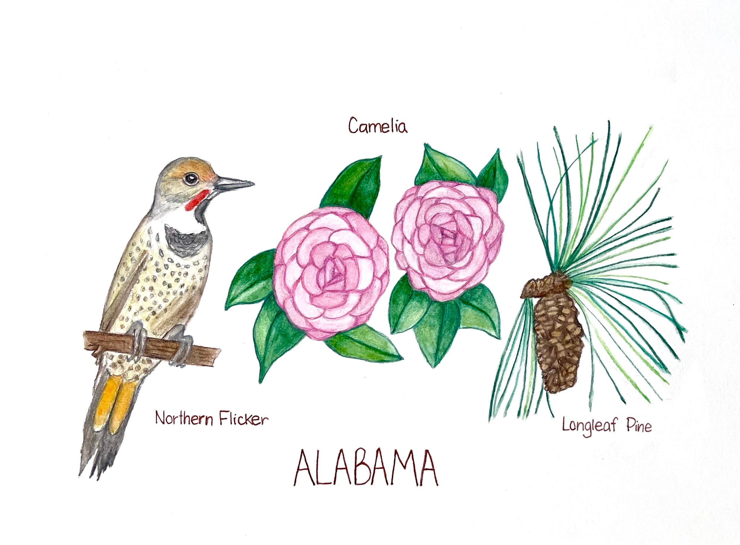 Alabama State Bird