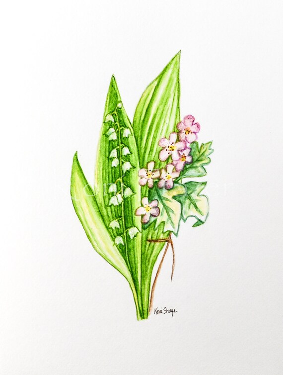 May Birth Flowers: Lily-of-the-Valley and Hawthorn