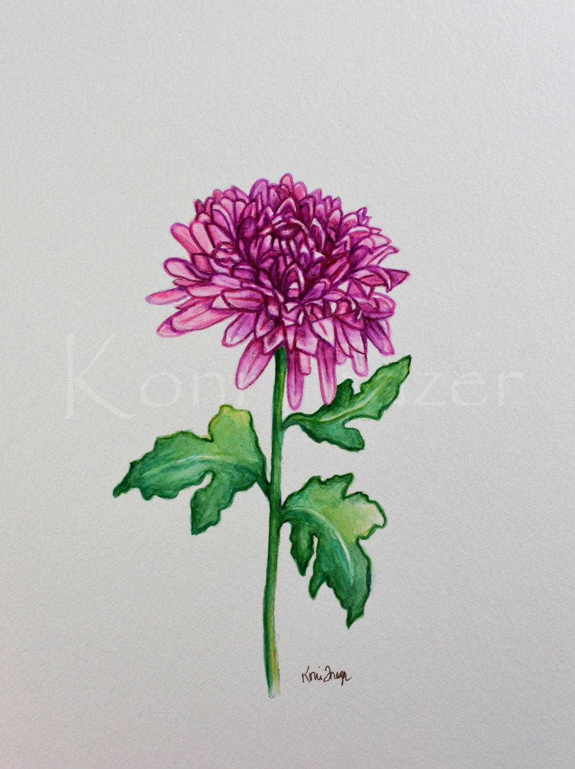 November Birthday Flower