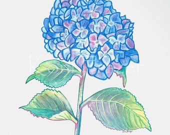 Original Hydrangea Watercolor Painting: Floral Wall Art (11x12)