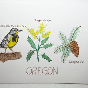 What is Oregon State Bird And Flowers: Discover Nature’s Symbols
