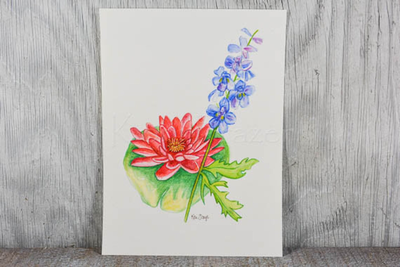 Water Lily and Larkspur July Birthday Flower, Original Watercolor