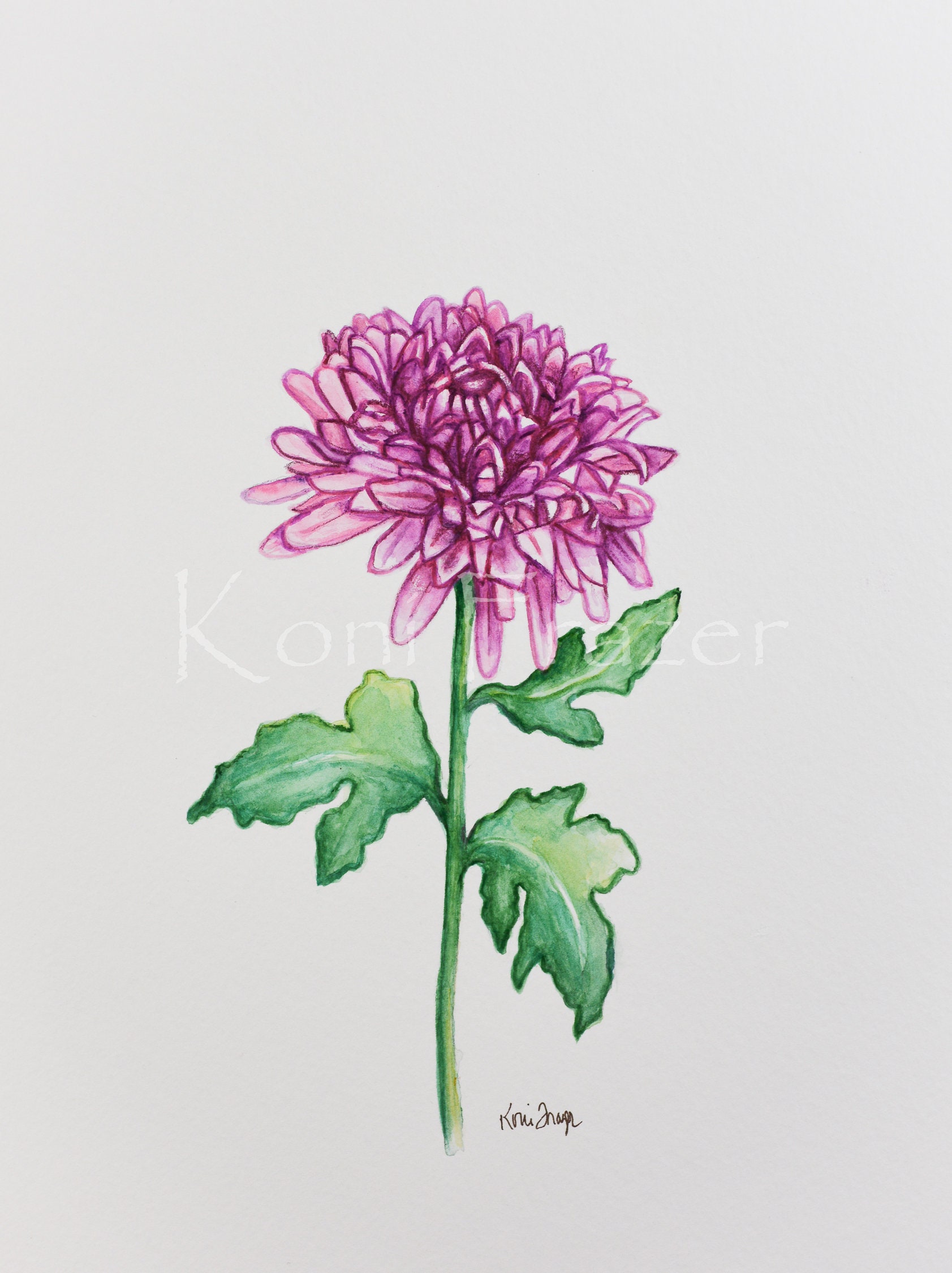 November birth flower online