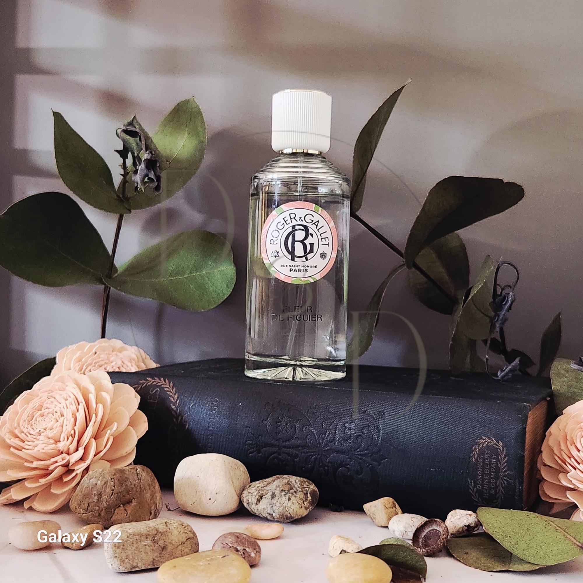 Roger Gallet Vintage - Etsy