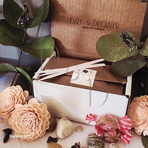 Perfume Hypnotizing Fire / The Harmonist / 0,5, 1, 2, 3 y 5 ml / Decantaciones / Muestras / Atomizador de vial de vidrio imagen 6