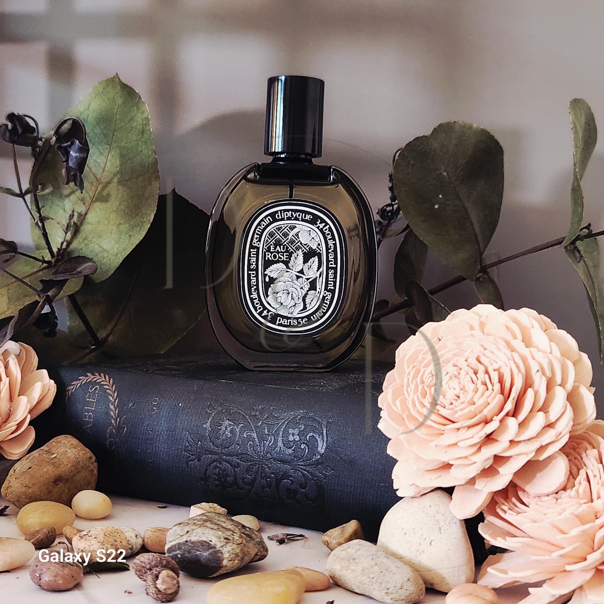 Diptyque Bottle - Etsy
