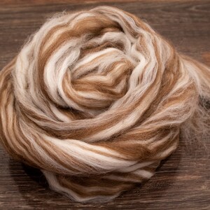 May include: A coiled bundle of unspun wool roving featuring a variegated blend of soft white and warm tan brown fibers. The fiber is arranged in a circular, layered spiral pattern, showcasing a fluffy, textured appearance throughout the entire mass.