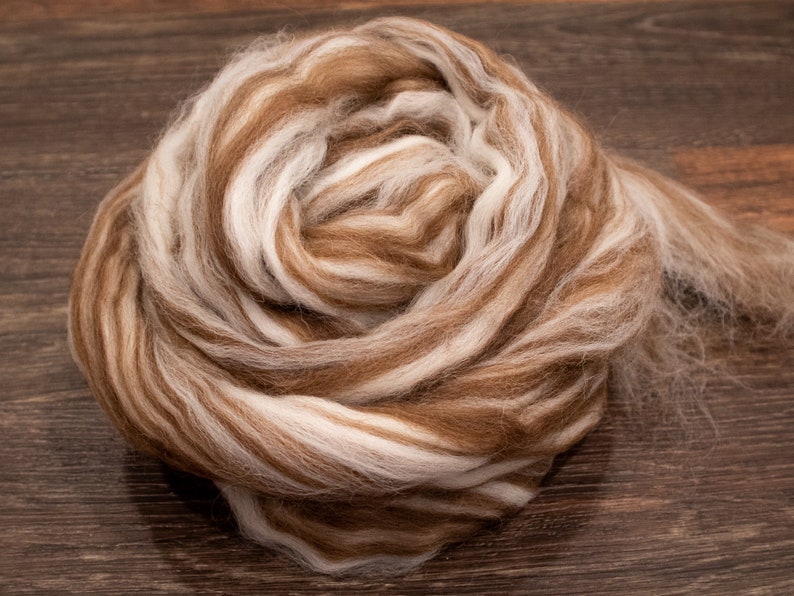 May include: A coiled bundle of unspun wool roving featuring a variegated blend of soft white and warm tan brown fibers. The fiber is arranged in a circular, layered spiral pattern, showcasing a fluffy, textured appearance throughout the entire mass.