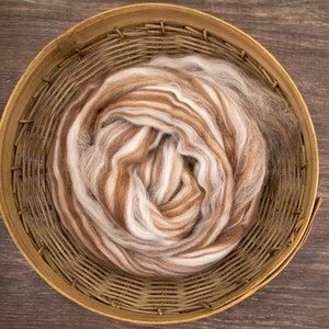 May include: A coiled bundle of soft, unspun wool roving featuring a marbled blend of white, cream, and various shades of brown fibers. The wool is contained within a round, woven wooden basket with a light brown finish and visible slats.