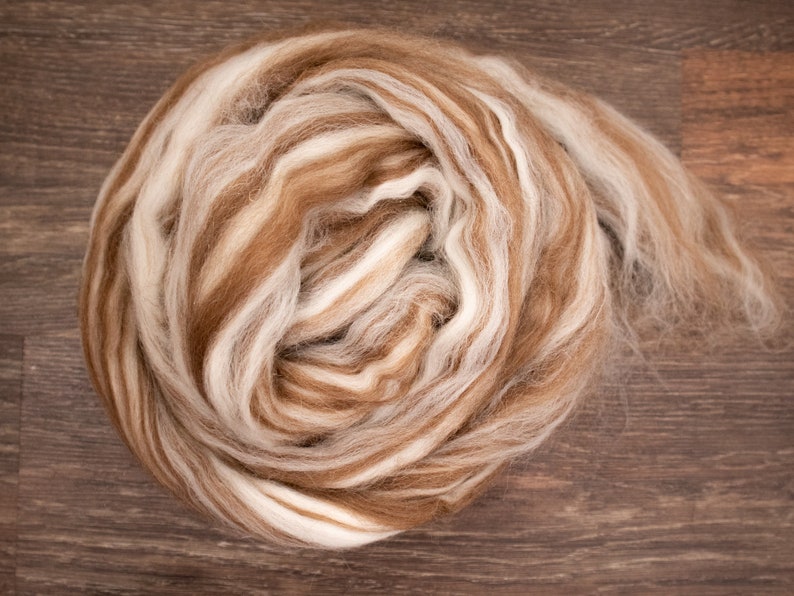 May include: A coiled bundle of unspun wool roving featuring a variegated color palette of warm tan, light brown, and creamy white fibers. The soft, fluffy material is arranged in a circular spiral pattern with loose ends extending to the right.