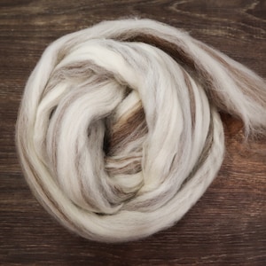 May include: A close-up of a bundle of wool roving, featuring alternating stripes of white, light grey, and brown. The wool is tightly coiled, with some strands extending outwards. The background is a dark brown wooden surface.