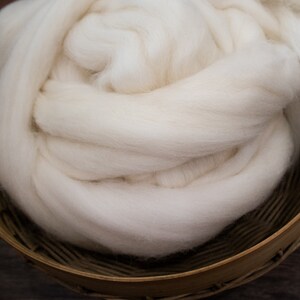 Shetland Wool Natural White 4oz Combed Top / Roving for Spinning and Felting image 2